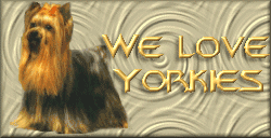We Love Yorkies Webring-Click To Join